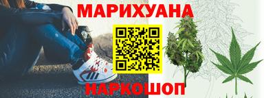 тгк Кингисепп