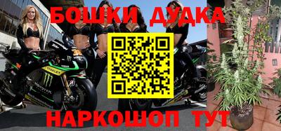 тгк Кингисепп