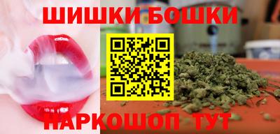 тгк Кингисепп