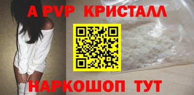 тгк Кингисепп
