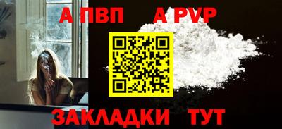 тгк Кингисепп