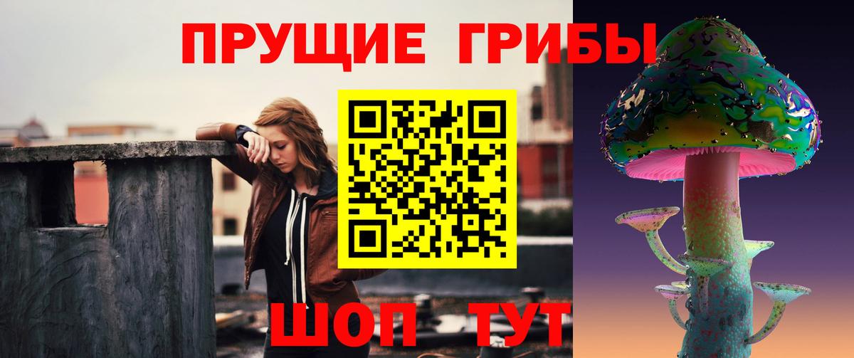 Вологда  Псилоцибиновые грибы Psilocybine cubensis  Вход с VPN 